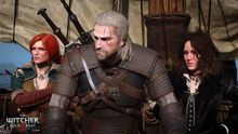 the witcher