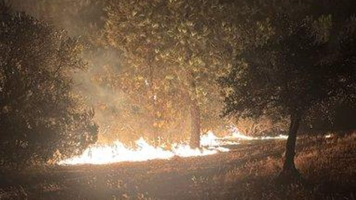 El incendio de Valdecaballeros ha calcinado ya más de 2.000 hectáreas