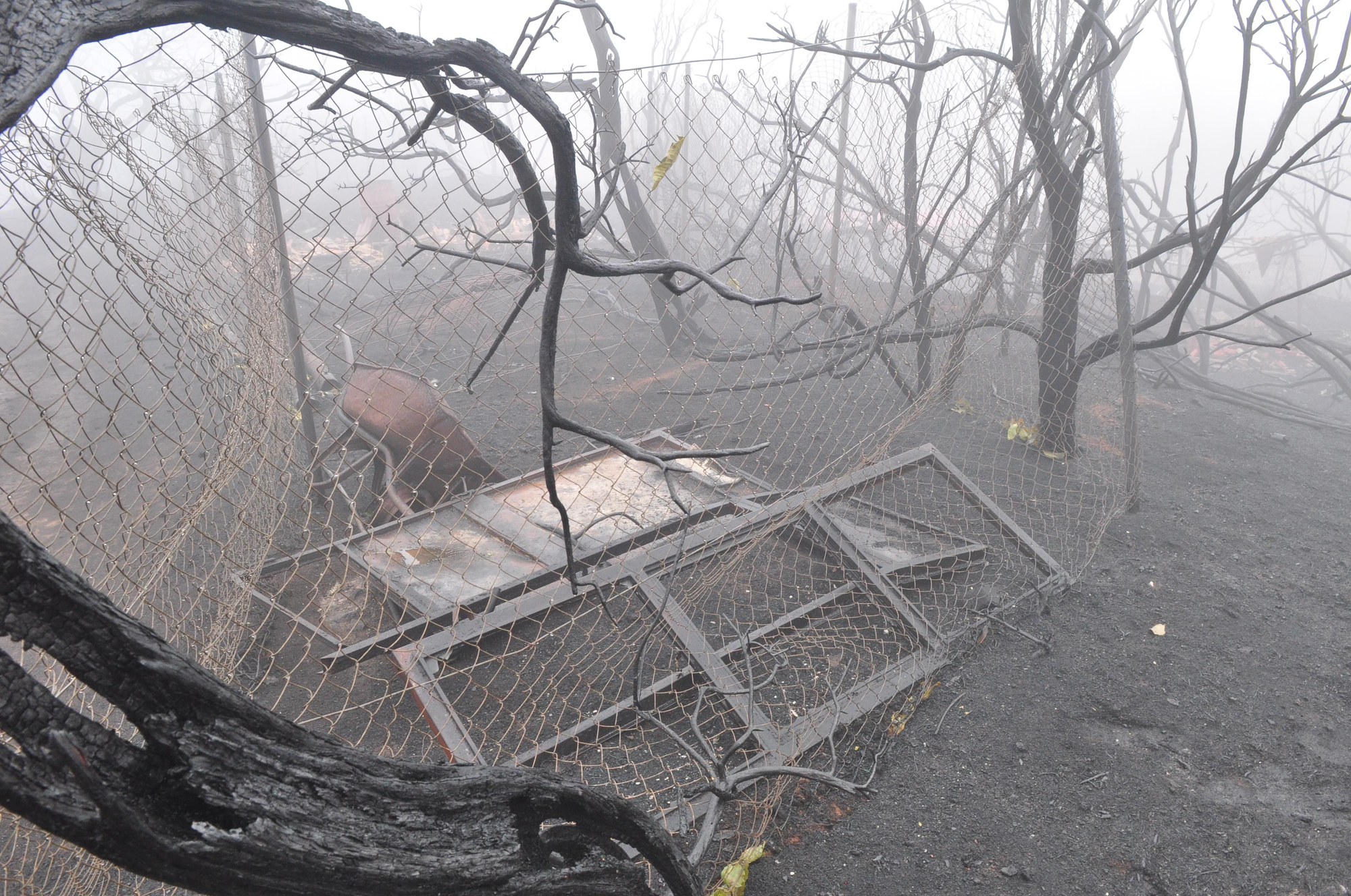 Efectos del incendio en la Cruz de Tejeda. (ÁNGEL SARMIENTO)