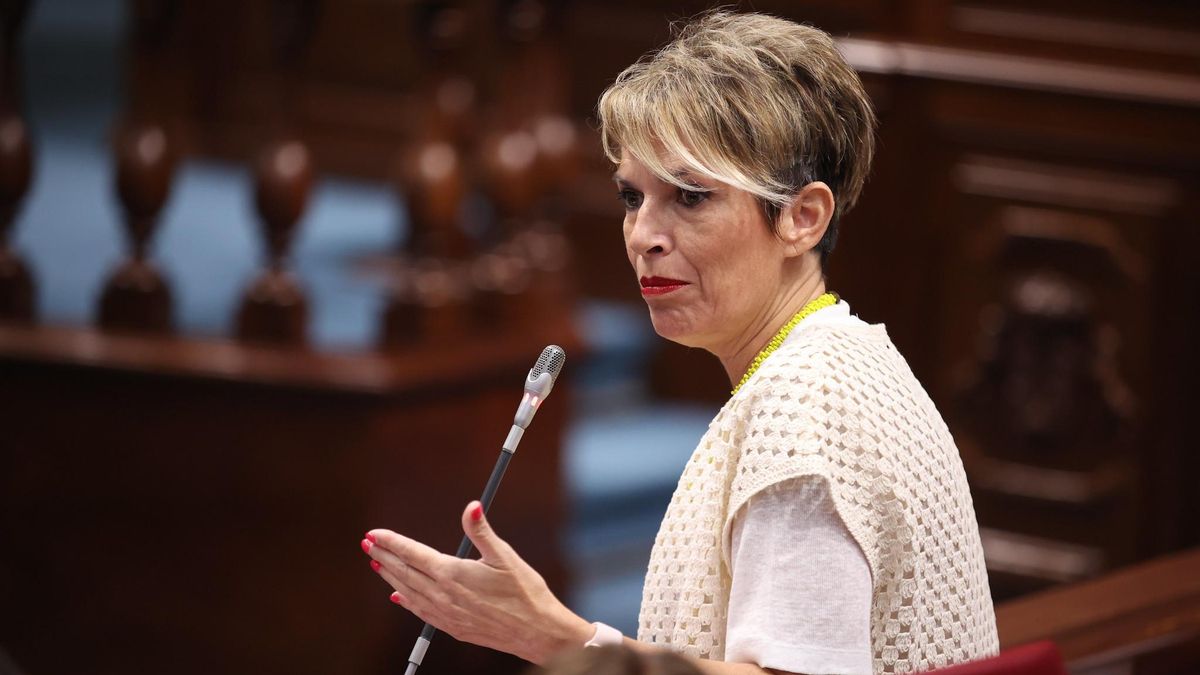 El PSOE atribuye al "triunfo de la lucha ciudadana" que se mantengan abiertas las escuelas infantiles Anaga y Las Folías