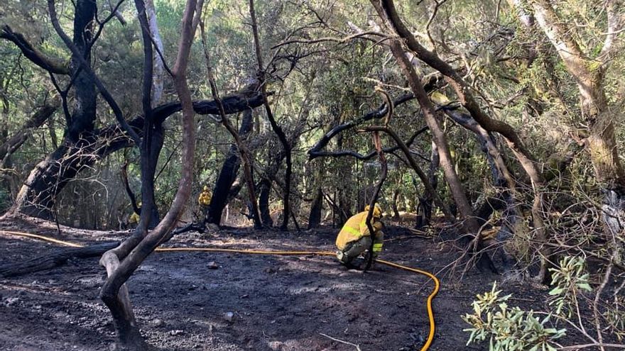 El Cabildo de La Gomera da por controlado el incendio en Las Creces tras quemar 1,5 hectáreas del Parque Nacional de Garajonay