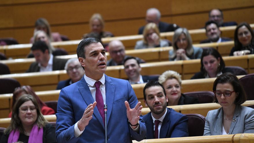 El presidente del Gobierno, Pedro Sánchez, interviene durante una sesión de control al Gobierno en el Senado.