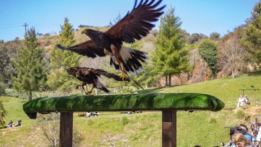 Cabárceno ha vuelto a se uno de los grandes atractivos turísticos de esta Semana Santa