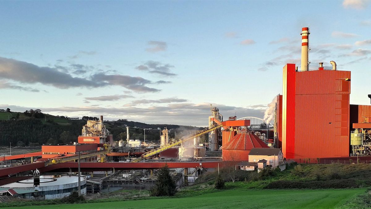 La fábrica de Ence en Navia permanecía paralizada por la huelga indefinida que comenzó el pasado 13 de febrero.