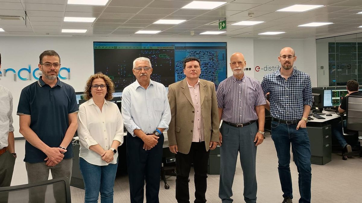 Altos cargos de instituciones de Cuba visitan el Centro de Control de Endesa en Canarias en el programa de formación europeo