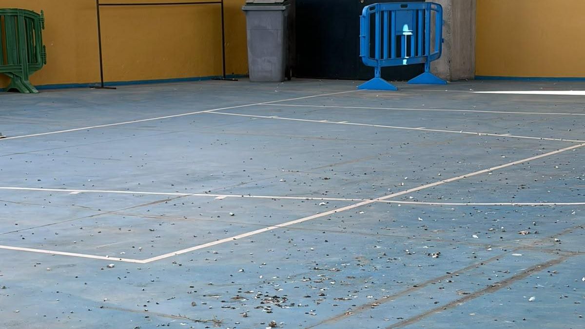 El PSOE de El Paso denuncia  “el estado de abandono” de las canchas del CEIP La Rosa-Camino Viejo” por “la dejadez” del Gobierno municipal