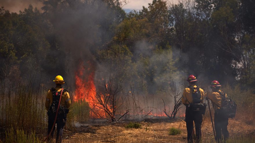 Detienen en Asturias al autor de dos de los incendios que asolaron la región en agosto