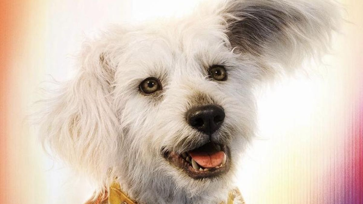 Krypto ha sido un reclamo para fomentar las adopciones