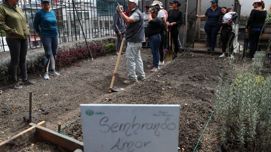 El número de venezolanos en Ecuador desciende a cerca de 445.000