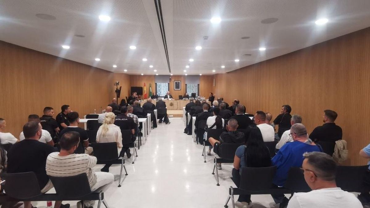 Juicio por el alijo de 20 toneladas de hachís ocultas en falsos tomates.
