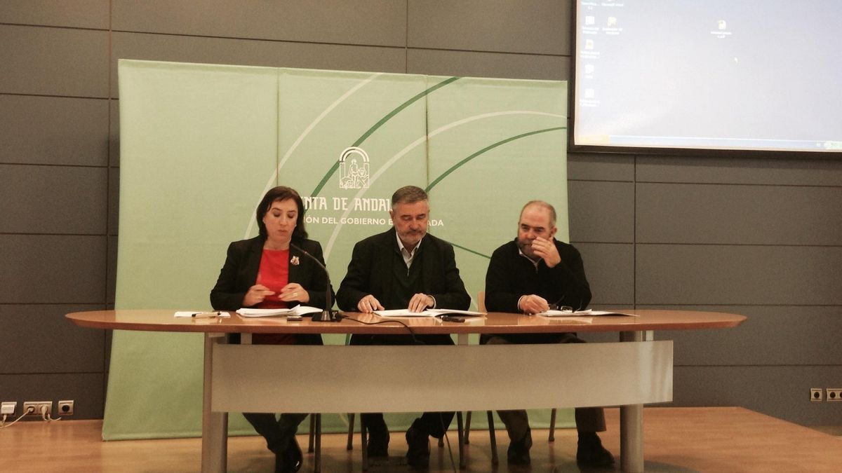 Junta exhorta al alcalde a retirar el monolito a Primo de Rivera y apunta a sanciones en la Toma