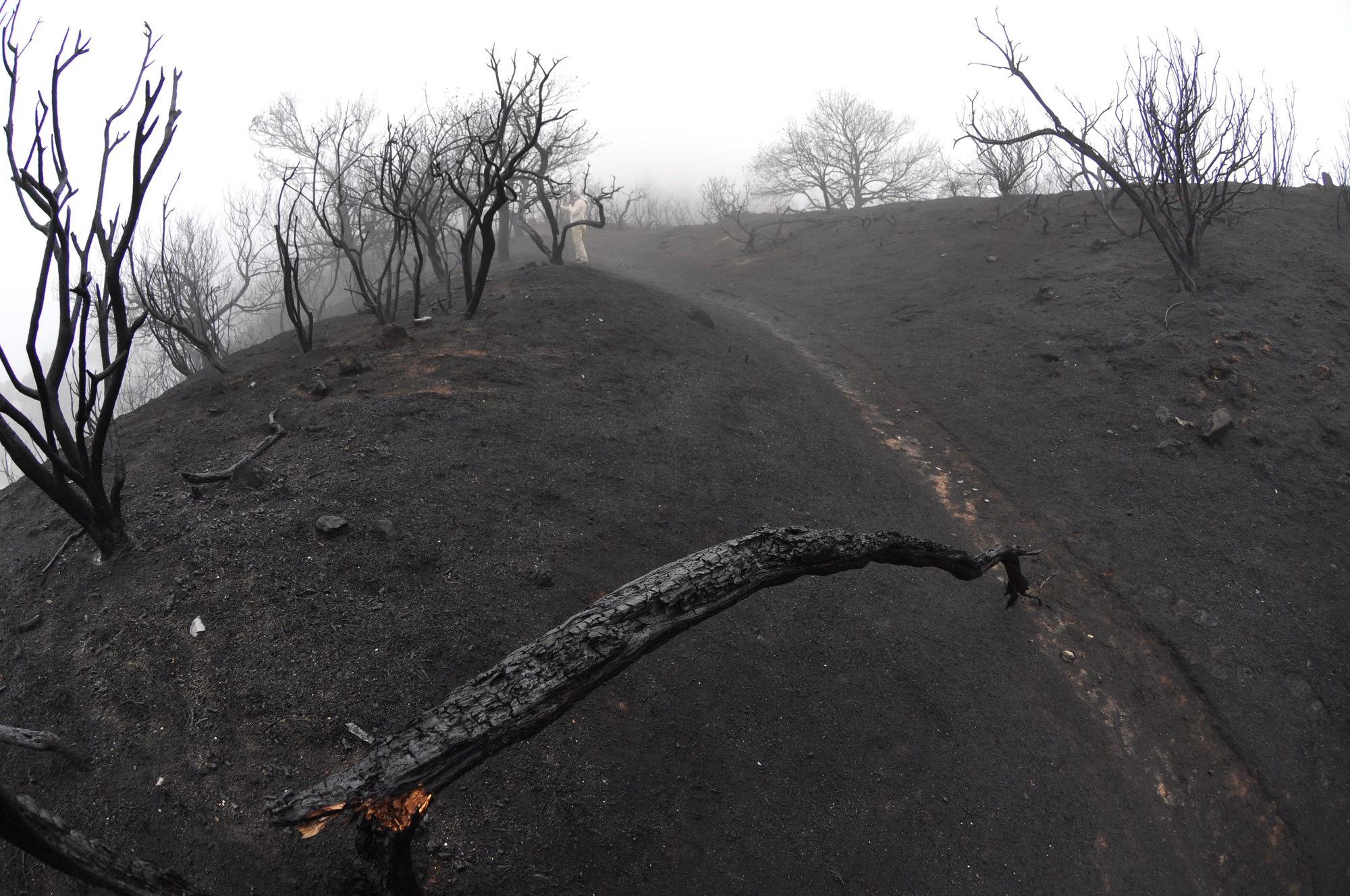 Efectos del incendio en la Cruz de Tejeda. (ÁNGEL SARMIENTO)