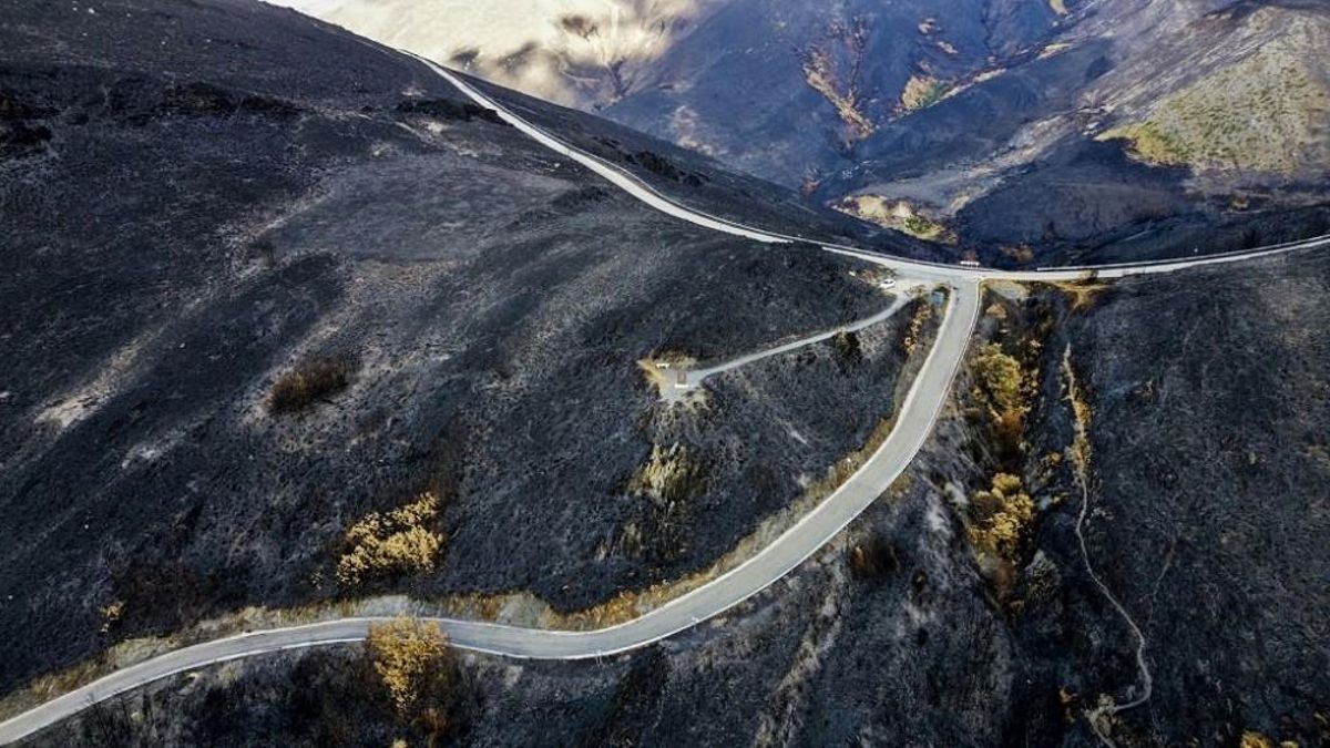 Una de las carreteras de la Diputación de León gravemente afectadas por los incendios forestales en verano de 2025.