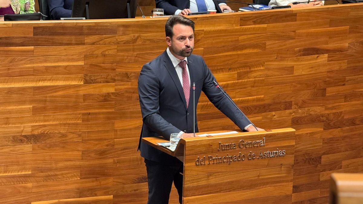 Álvaro Queipo, durante su intervención en la Junta General.