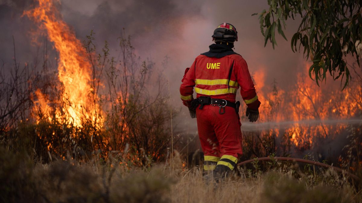Efectivos de la UME luchan contra el incendio de Niebla (Huelva).