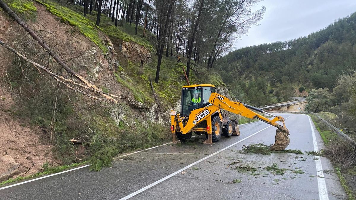 Actuación en la caída de los pinos en Benamejí