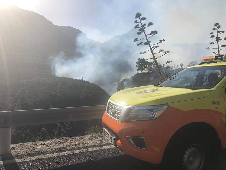 El fuego calcina 35 hectáreas de palmeral en Fataga