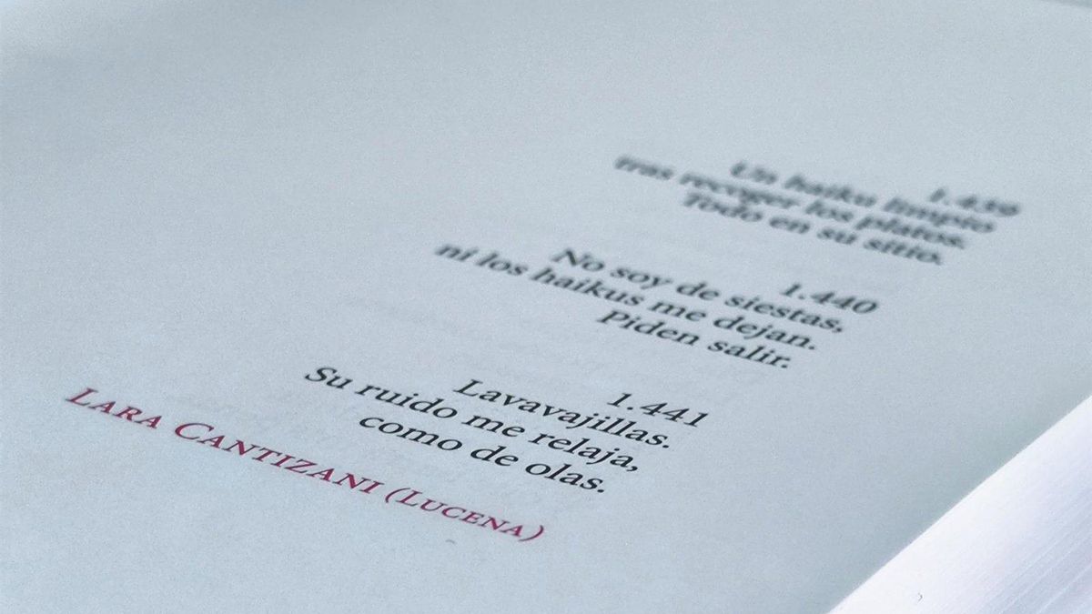 Convocada la VI edición del Premio Nacional de Poesía Ciudad de Lucena 'Lara Cantizani'