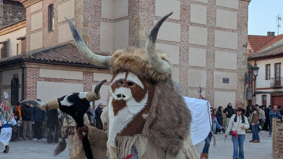 Antruejo de Carrizo de la Ribera.