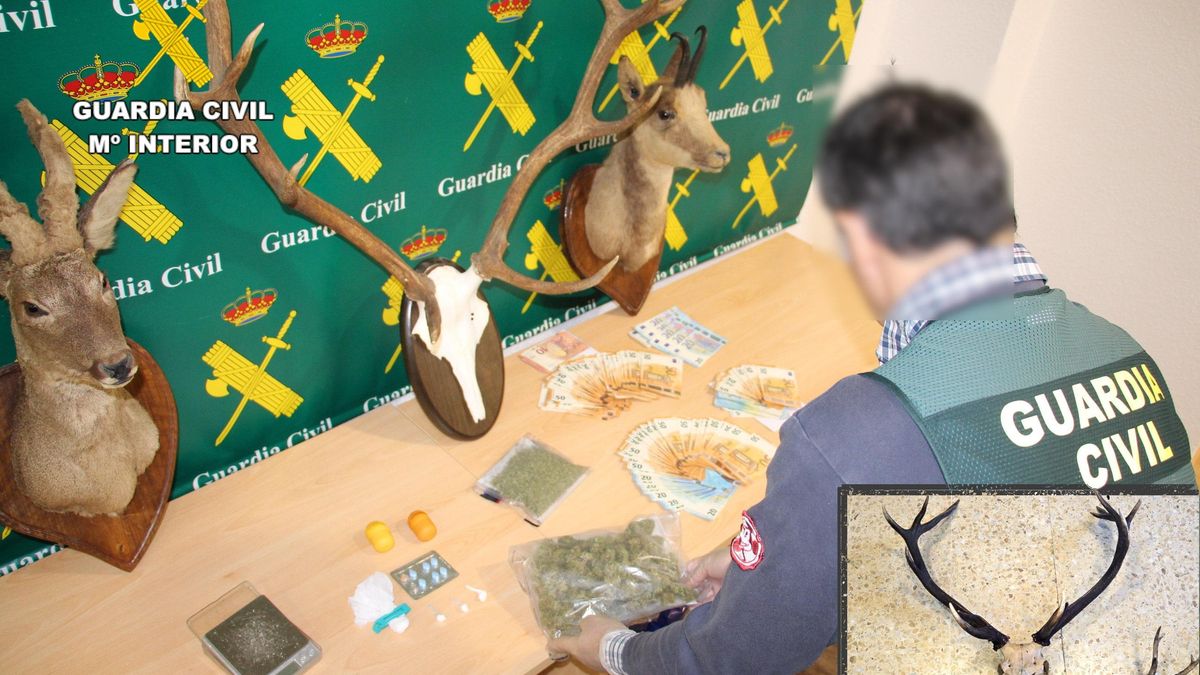 Desmantelado un punto de venta de cocaína en Liébana con tres detenidos, dos implicados también en caza furtiva