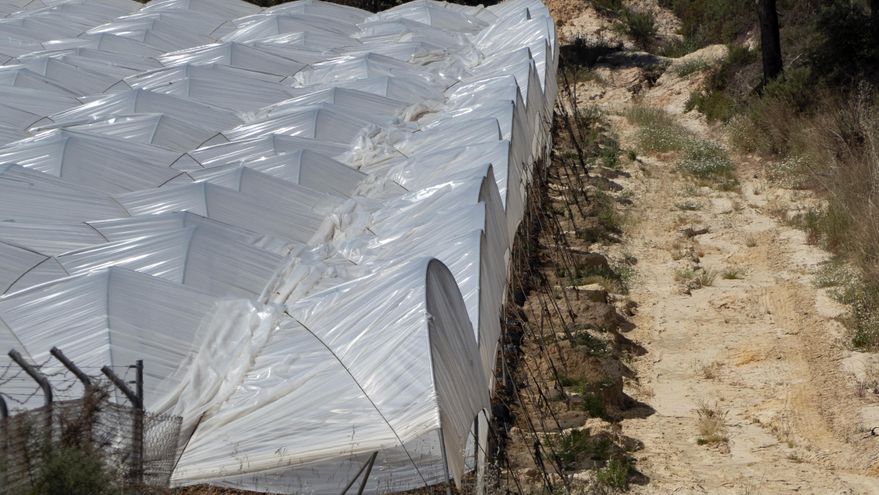 Diputados alemanes visitan Andalucía alarmados por la ley que legaliza regadíos en Doñana y en pleno boicot a la fresa