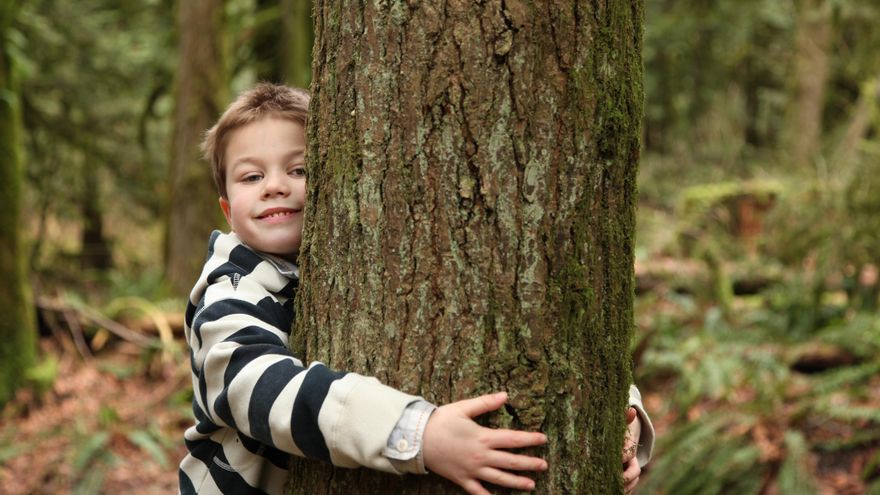 Estas son las iniciativas sostenibles que pueden ganar la segunda edición de Ecólatras con Espíritu Cántabro