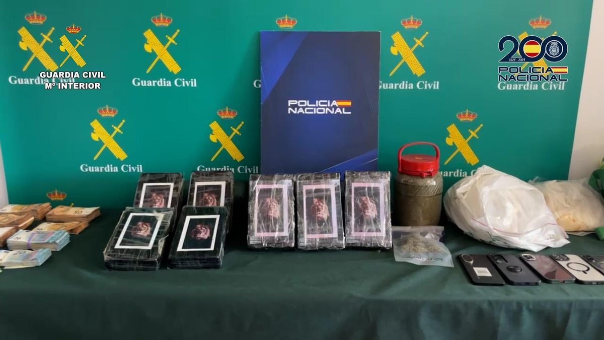 El alijo incautado a la organización criminal que introducia cocaína en Asturias.