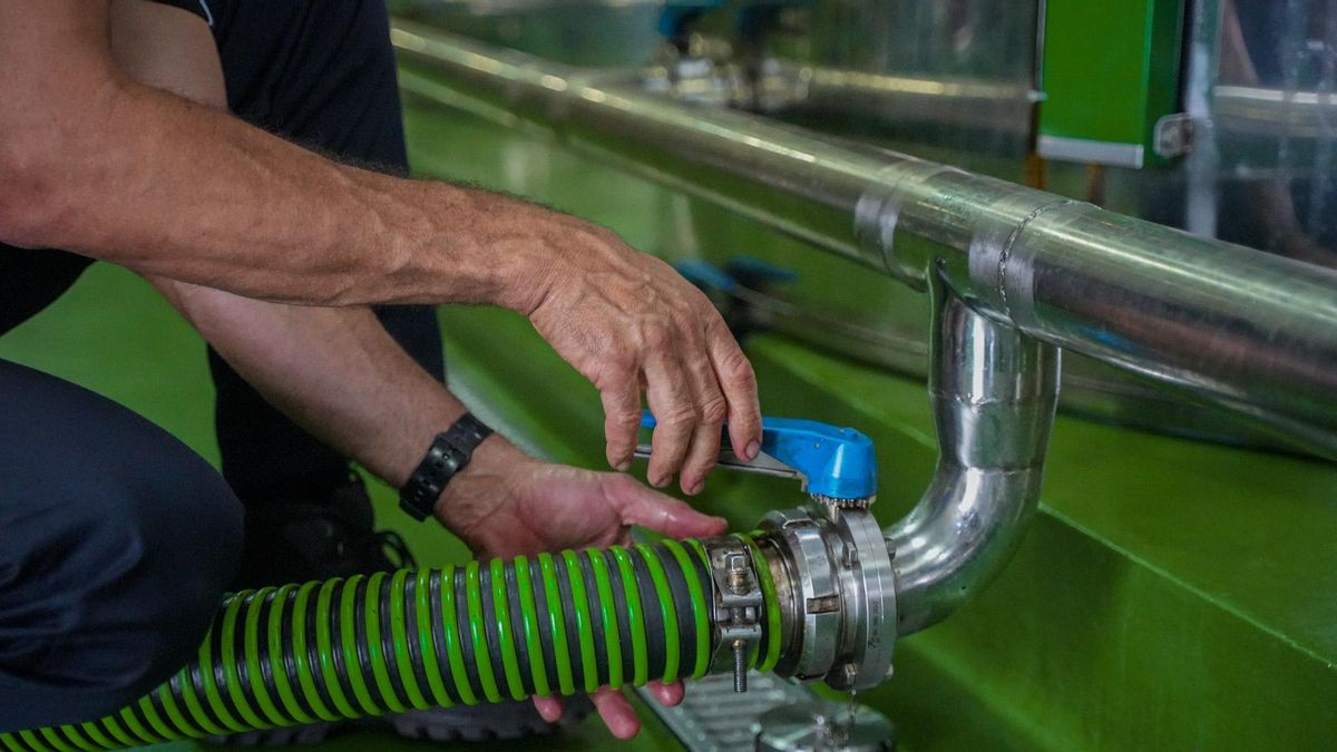 Un trabajador, en una almazara
