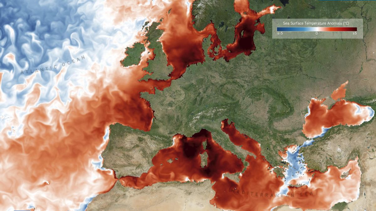 Un mar de calor: la temperatura de los océanos marca otro récord y empuja al planeta a una fase "inexplorada"