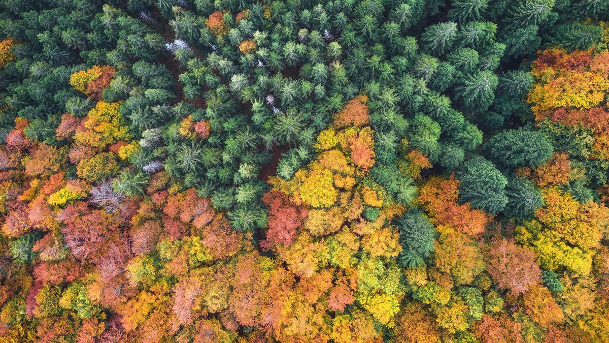 Portada reportaje Cepsa | El emprendimiento social que transforma el mundo