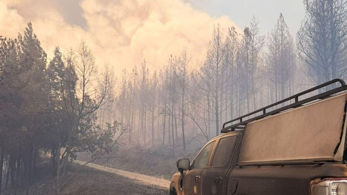 Última hora sobre los incendios en España: el fuego de Toledo que llegó a Madrid ya está perimetrado mientras La Mierla evoluciona "favorablemente"