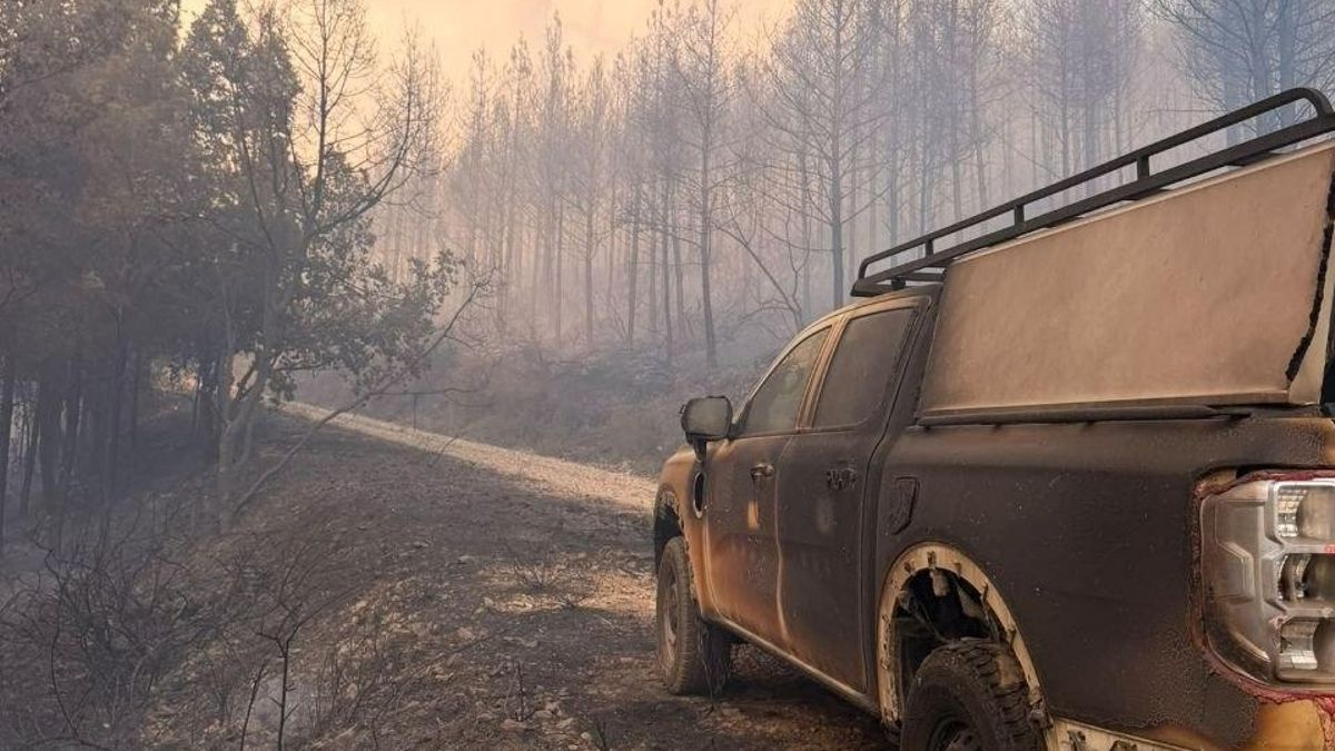 Última hora sobre los incendios en España: el fuego de Toledo que llegó a Madrid ya está perimetrado mientras La Mierla evoluciona "favorablemente"