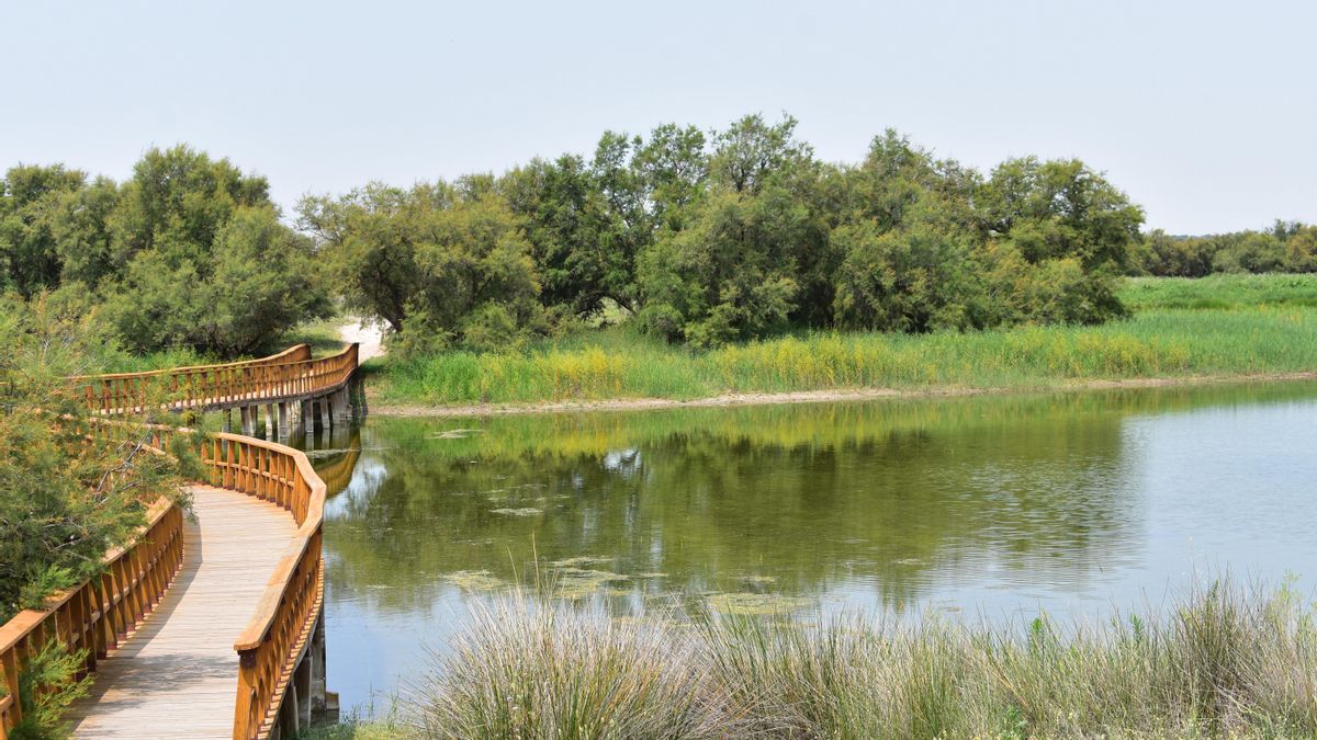Isla del Descanso, el "escaparate" de un poco de agua encharcada