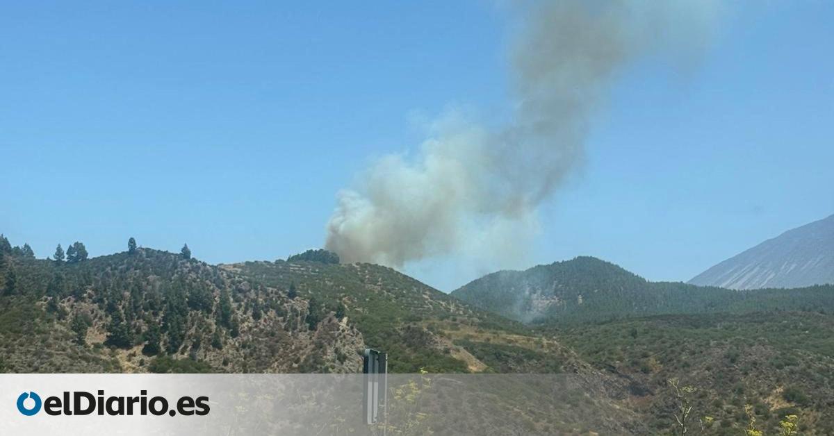 Conato de incendio forestal en El Tanque, Tenerife