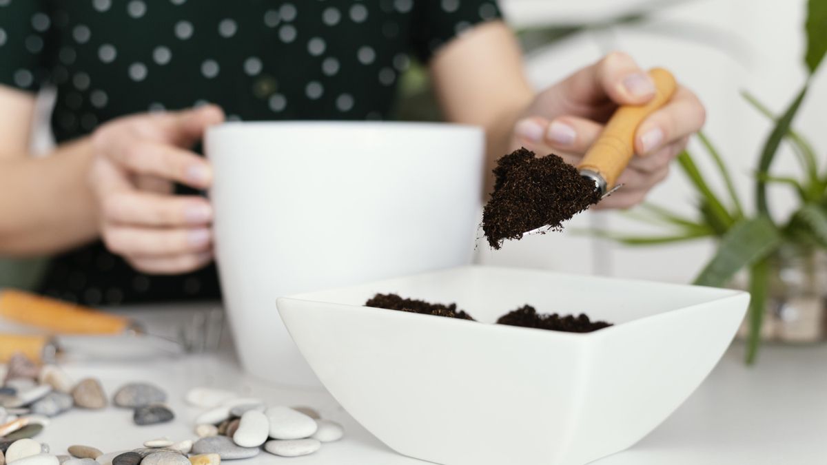 Estos posos húmedos, especialmente cuando se acumulan en la superficie, pueden favorecer la aparición de hongos y moho.