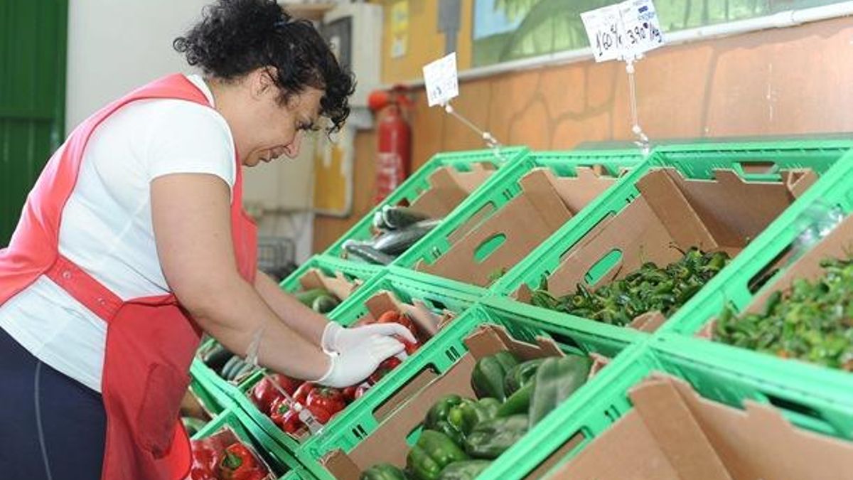 Tienda para la venta directa que existió en la histórica cooperativa del pueblo de Tejina, en La Laguna