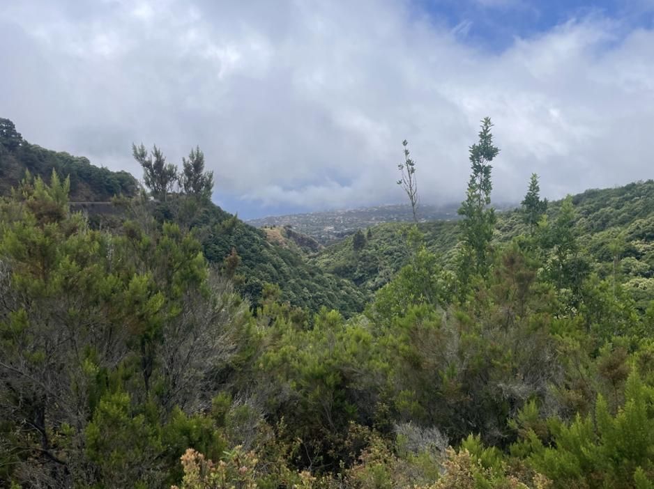 Vista del Barranco de Aguasensio desde Botazo (Foto: Jorge Pais Pais)