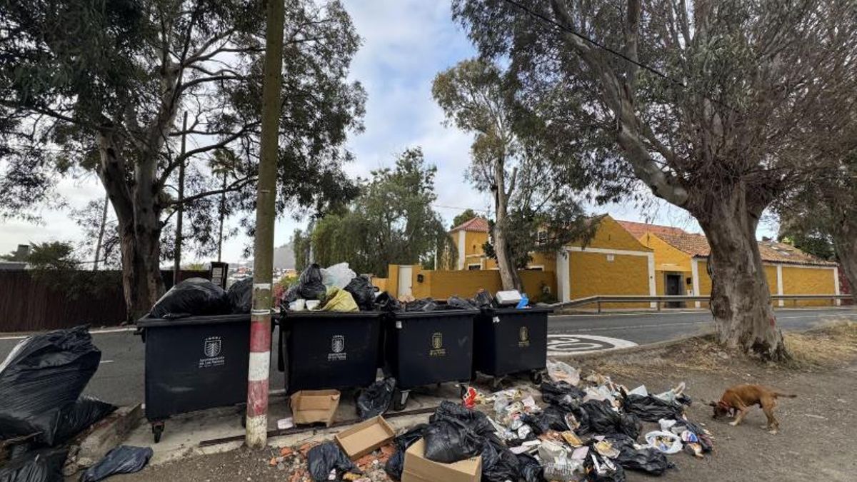 Este es el cóctel explosivo que provocó la crisis de la basura en Las Palmas de Gran Canaria