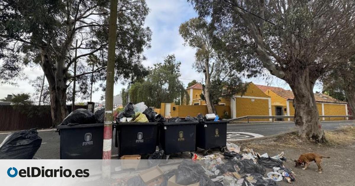 Este es el cóctel explosivo que provocó la crisis de la basura en Las Palmas de Gran Canaria