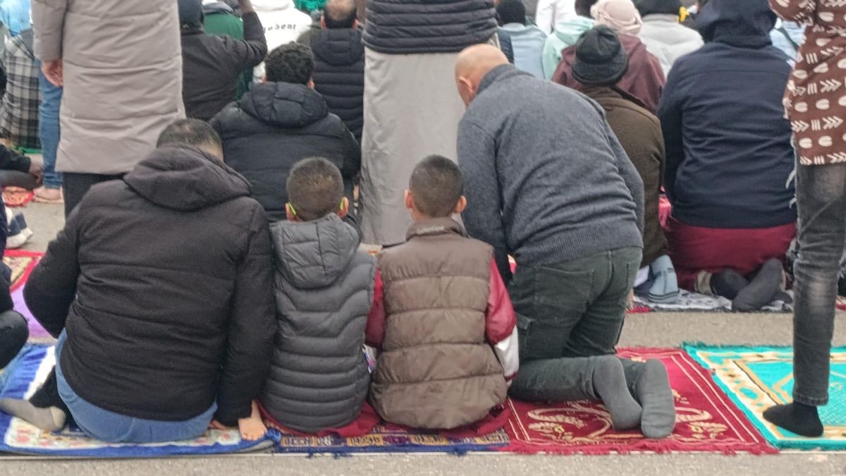 Jumilla humilla al islam