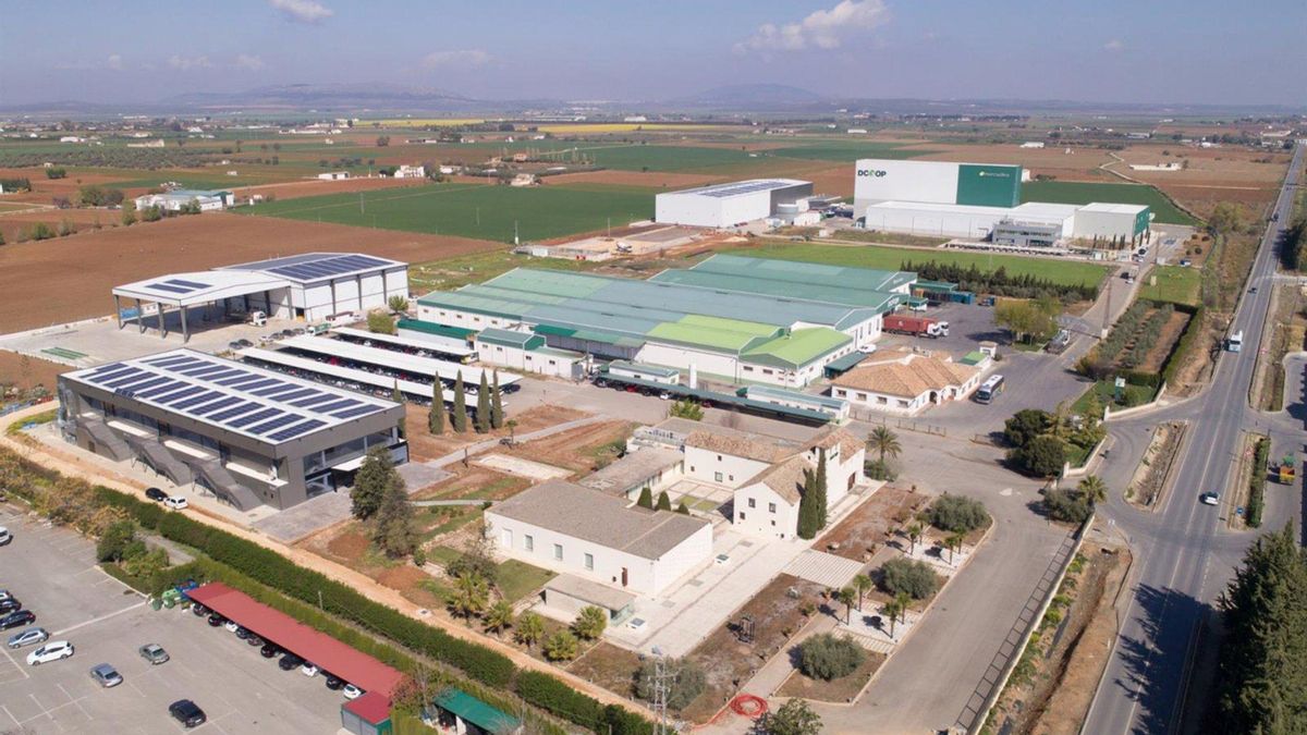 Dcoop en Antequera (Málaga).