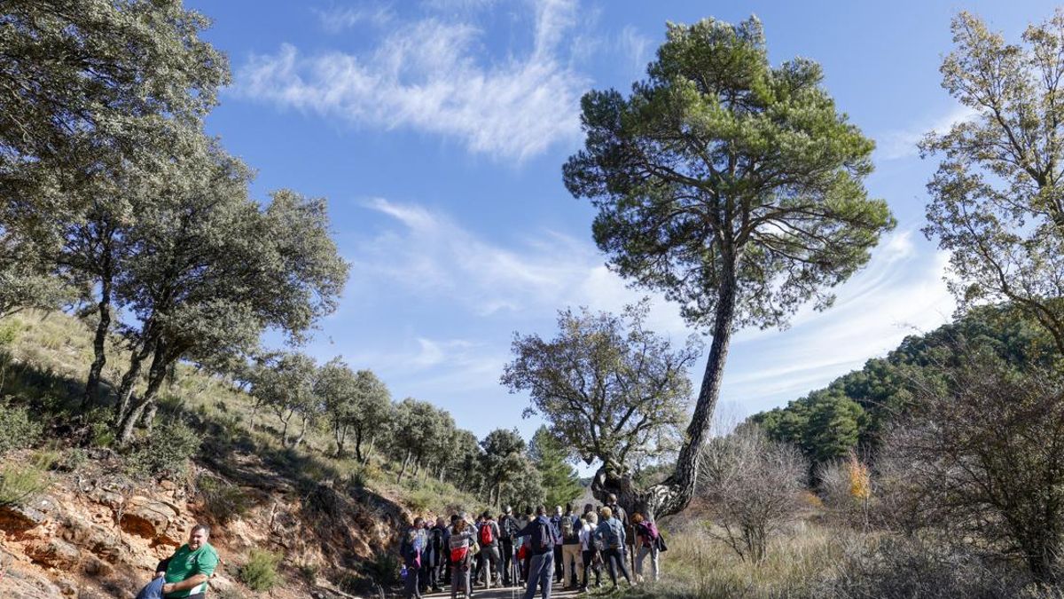 La ruta de senderismo que recorre la sierra de Alcaraz, uno de los paraísos naturales de la provincia de Albacete