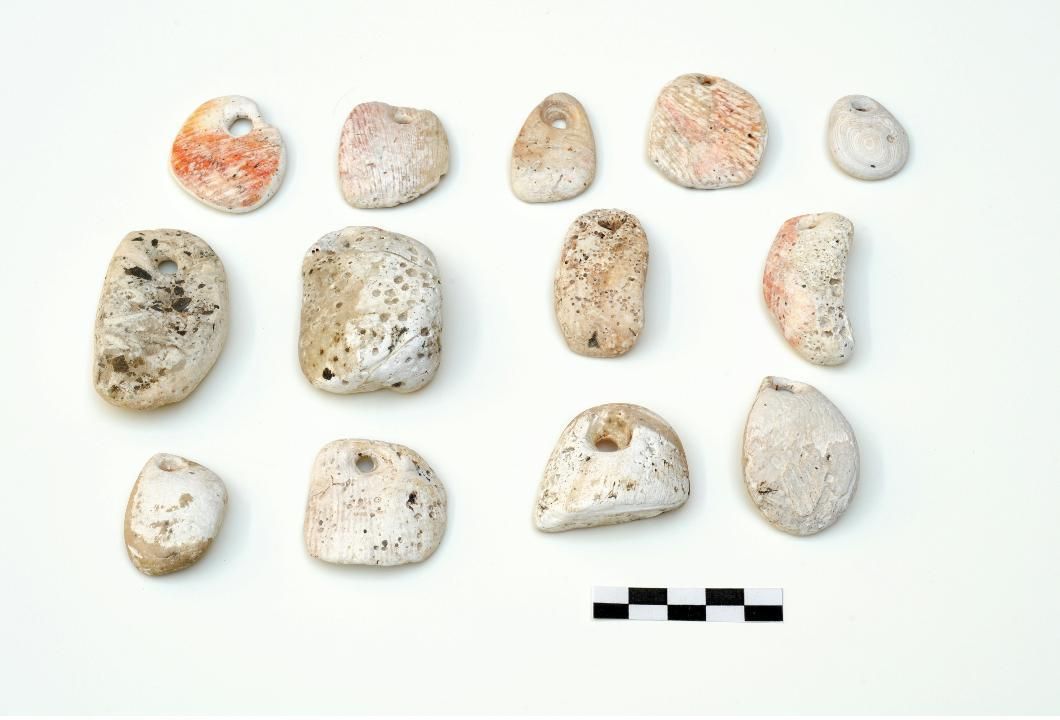 Colgantes sobre conchas de ostrones descubiertos en la Cueva de La Higuera (Barlovento). (Foto: Saúl Santos-MAB)