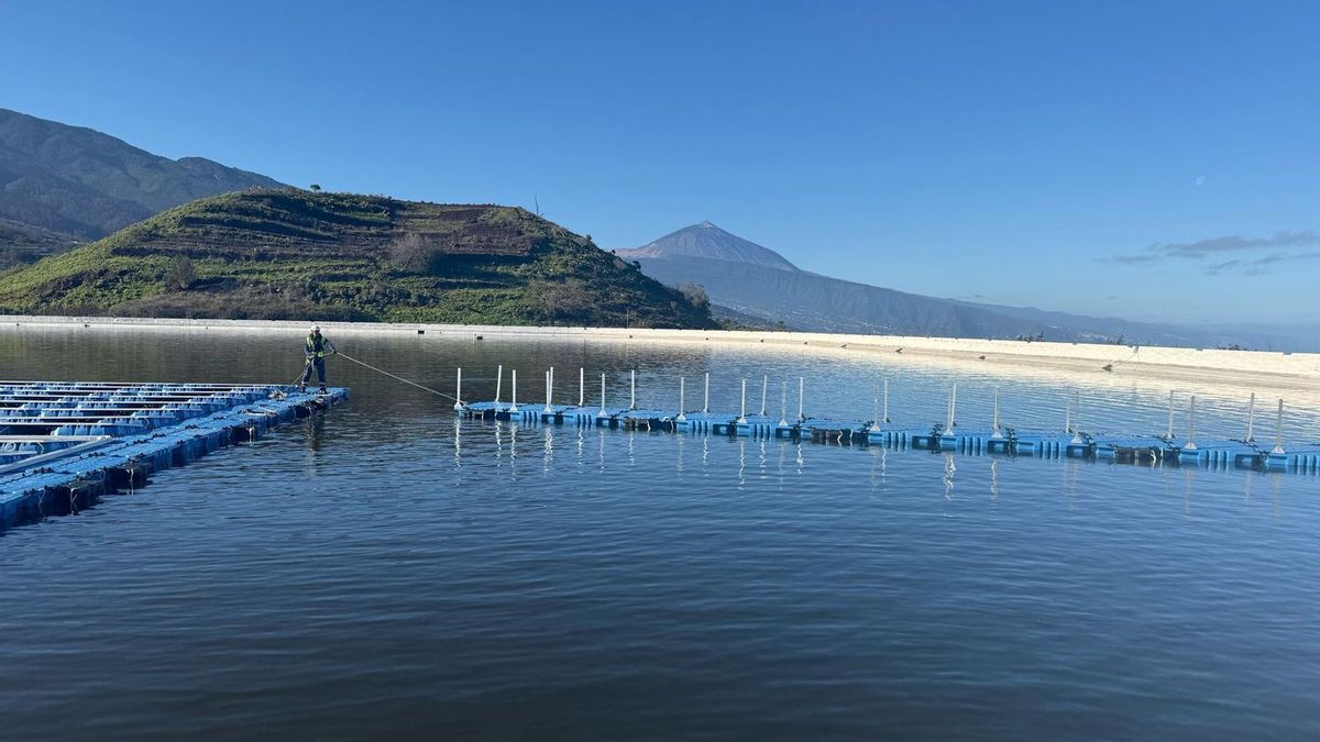 Las balsas de Tenerife alcanzan el 71% de su capacidad