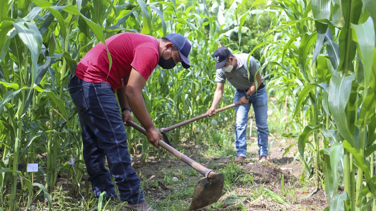 Cumbre mundial clave sobre desertificación: Latinoamérica llega a la COP17 entre sequías, El Niño y presión por producir alimentos