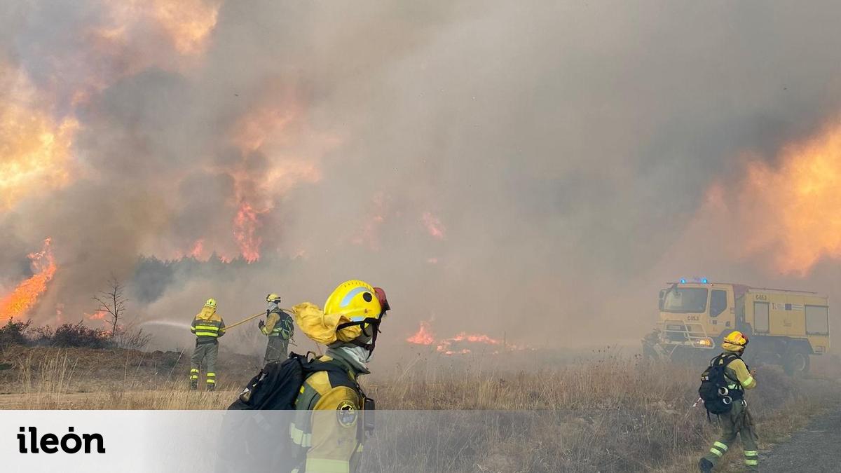 Otro 'incendio' en la Junta: denuncian que prescinde de más de cien celadores de Medio Ambiente en los operativos de extinción