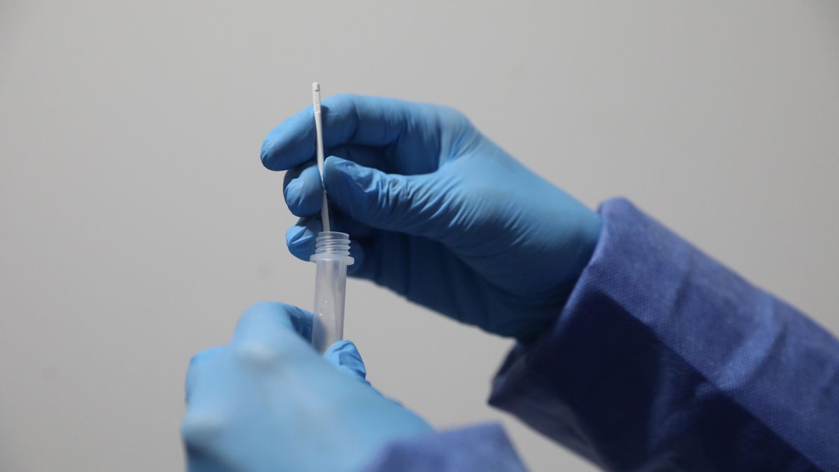 Archivo - Un sanitario sostiene una probeta tras realizar un test de antígenos