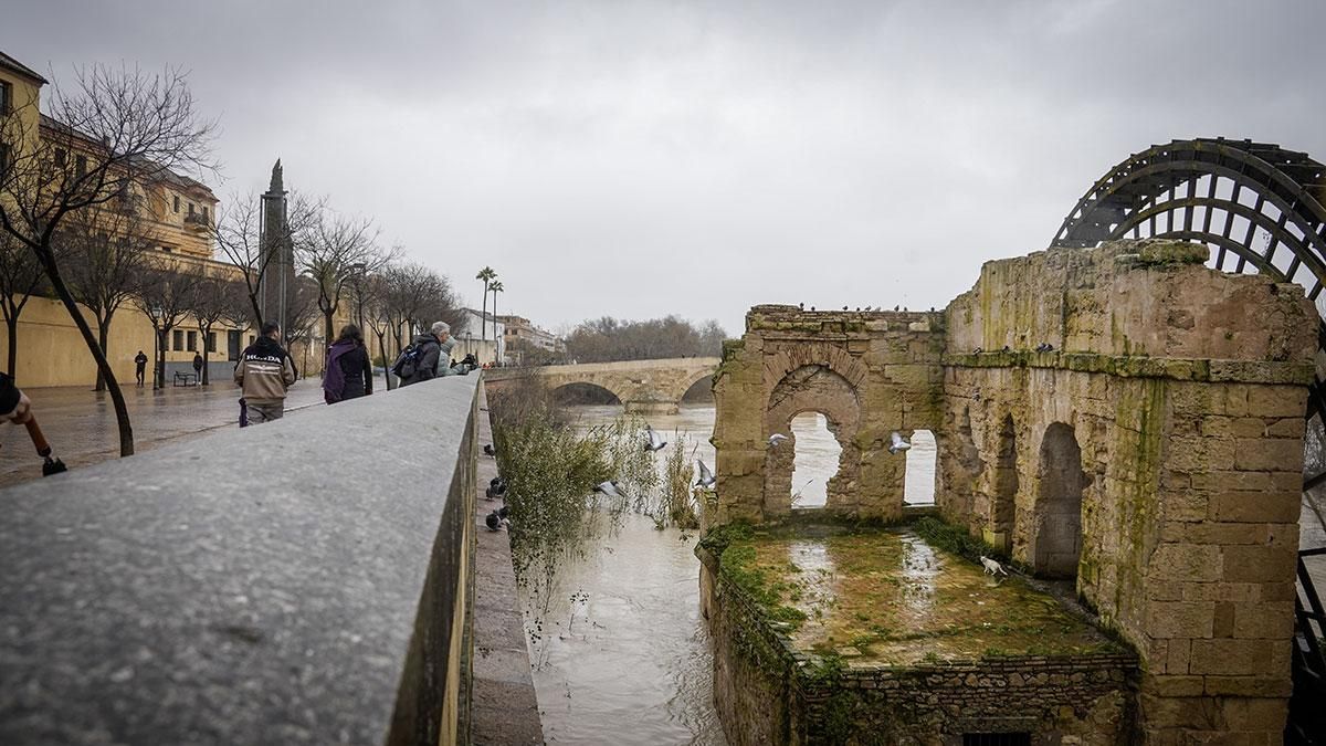 El cauce del río Guadalquivir sigue subiendo a su paso por Córdoba