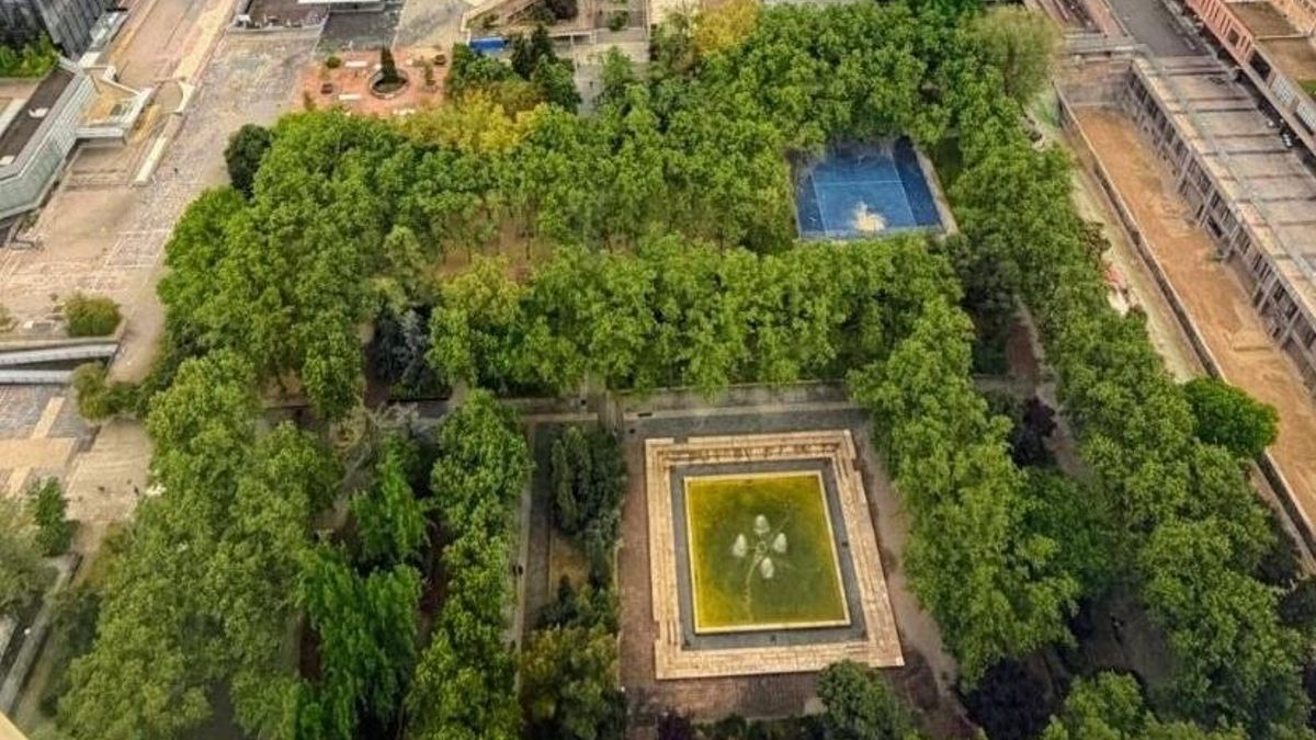 Denuncian abandono de la arboleda de AZCA antes de que se acometa su reforma y se decida el destino de los 367 árboles