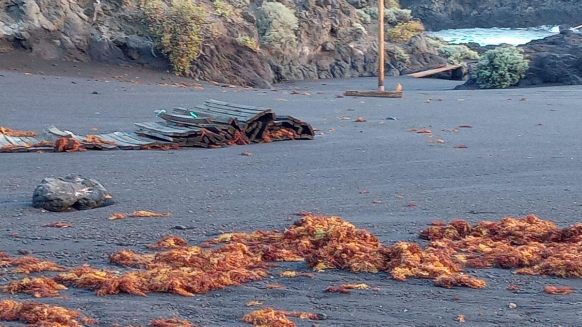 Efectos del oleaje en la playa de Los Cancajos  (Breña Baja).
